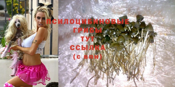 мет Балахна