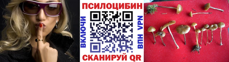 Псилоцибиновые грибы Psilocybe  Зеленогорск 